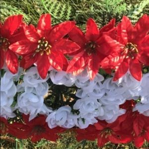 Meet your Posher, Izzy